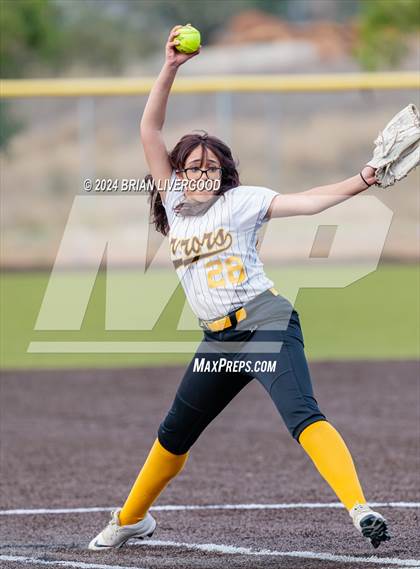 Thumbnail 2 in Widefield @ Palmer photogallery.