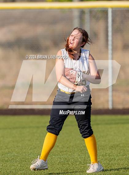 Thumbnail 3 in Widefield @ Palmer photogallery.