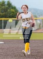 Photo from the gallery "Widefield @ Palmer"