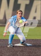 Photo from the gallery "Widefield @ Palmer"