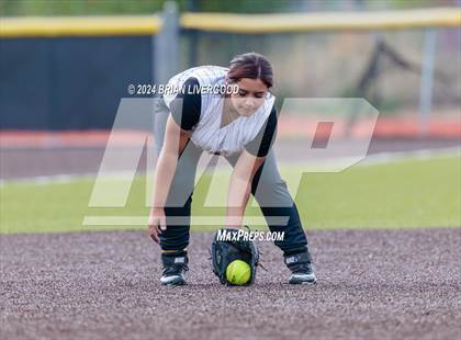 Thumbnail 2 in Widefield @ Palmer photogallery.