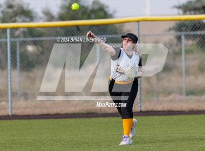Thumbnail 3 in Widefield @ Palmer photogallery.