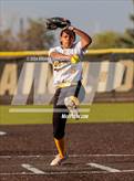 Photo from the gallery "Widefield @ Palmer"
