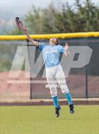 Photo from the gallery "Widefield @ Palmer"