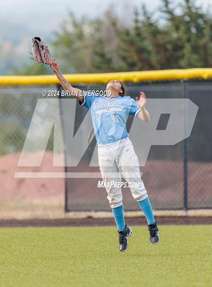 Thumbnail 2 in Widefield @ Palmer photogallery.