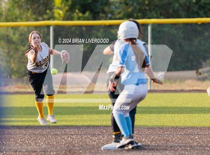 Thumbnail 3 in Widefield @ Palmer photogallery.