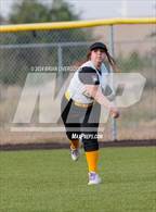 Photo from the gallery "Widefield @ Palmer"
