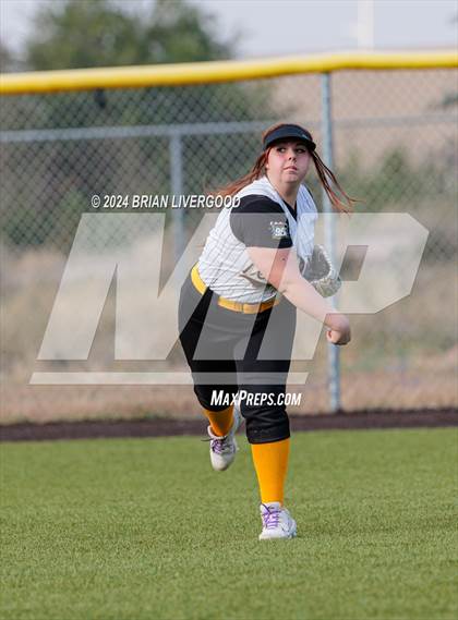 Thumbnail 1 in Widefield @ Palmer photogallery.
