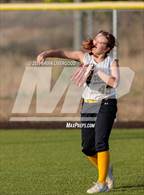 Photo from the gallery "Widefield @ Palmer"