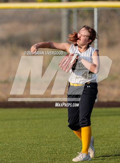 Thumbnail 2 in Widefield @ Palmer photogallery.