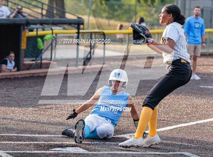 Thumbnail 3 in Widefield @ Palmer photogallery.