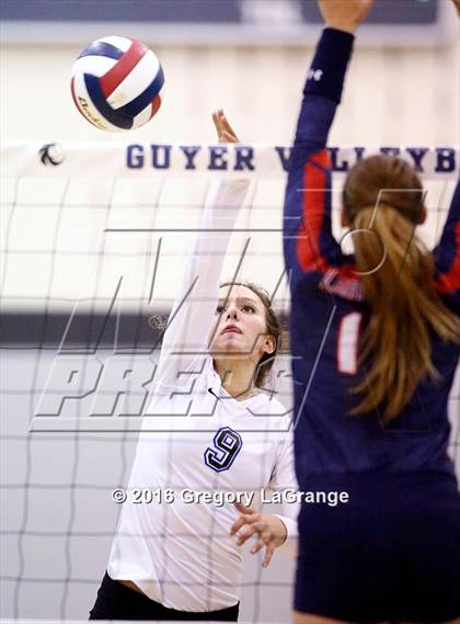 Thumbnail 1 in Ryan @ Guyer photogallery.