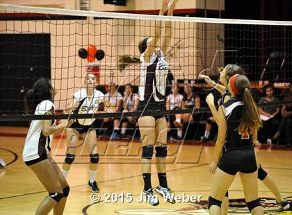 Thumbnail 2 in Wiregrass Ranch @ Pasco photogallery.
