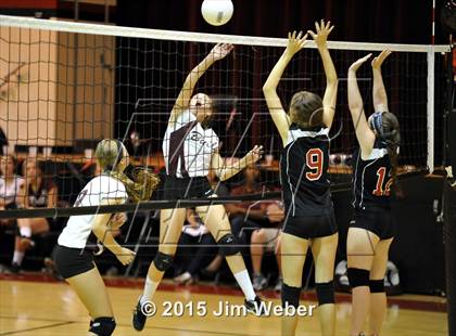 Thumbnail 1 in Wiregrass Ranch @ Pasco photogallery.