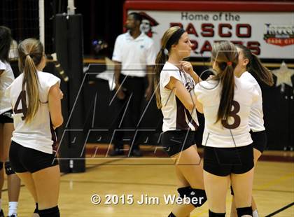 Thumbnail 3 in Wiregrass Ranch @ Pasco photogallery.