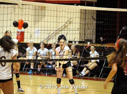 Thumbnail 3 in Wiregrass Ranch @ Pasco photogallery.