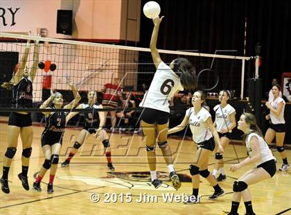 Thumbnail 3 in Wiregrass Ranch @ Pasco photogallery.