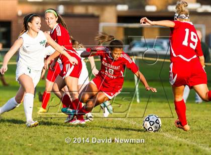 Thumbnail 1 in Sacred Heart Academy @ Northwest Catholic (CIAC Class L 1st Round) photogallery.