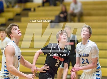 Thumbnail 2 in Sheridan @ Indianapolis Bishop Chatard photogallery.