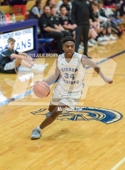 Thumbnail 1 in Sheridan @ Indianapolis Bishop Chatard photogallery.