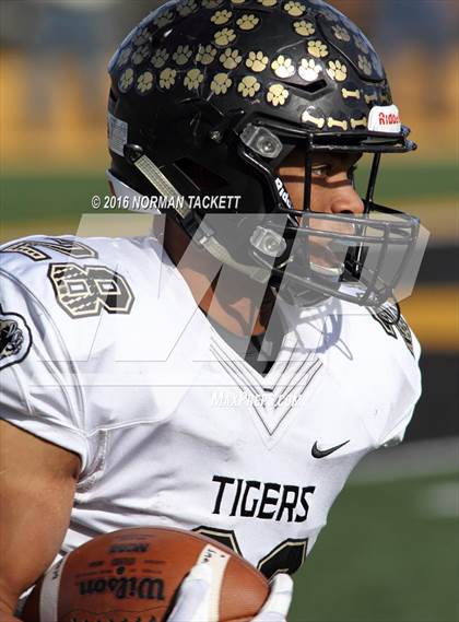 Thumbnail 2 in Blue Valley vs. Derby (KSHSAA 6A Final) photogallery.