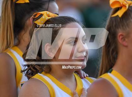 Thumbnail 1 in Rogers vs. Little River Academy photogallery.