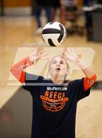 Photo from the gallery "Beech @ Mount Juliet"