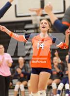 Photo from the gallery "Beech @ Mount Juliet"