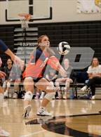 Photo from the gallery "Beech @ Mount Juliet"