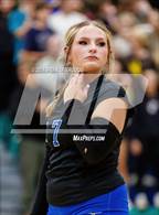 Photo from the gallery "Coronado @ Doherty"