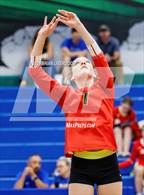 Photo from the gallery "Coronado @ Doherty"