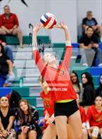 Photo from the gallery "Coronado @ Doherty"