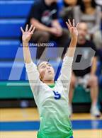 Photo from the gallery "Coronado @ Doherty"