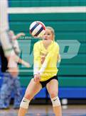Photo from the gallery "Coronado @ Doherty"