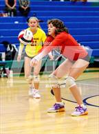 Photo from the gallery "Coronado @ Doherty"