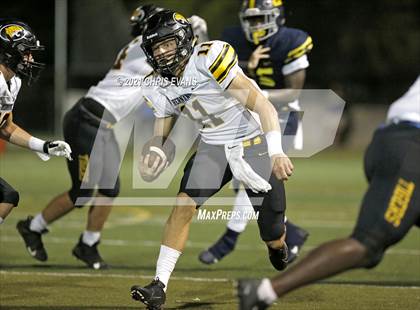 Thumbnail 3 in Hernando @ Lausanne Collegiate photogallery.