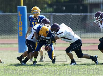 Thumbnail 1 in Orchard Park @ Lockport photogallery.