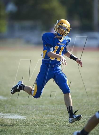 Thumbnail 3 in Orchard Park @ Lockport photogallery.