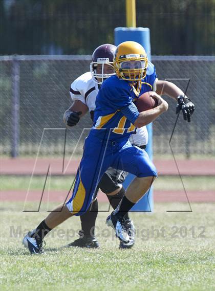 Thumbnail 3 in Orchard Park @ Lockport photogallery.
