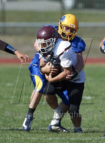 Thumbnail 1 in Orchard Park @ Lockport photogallery.