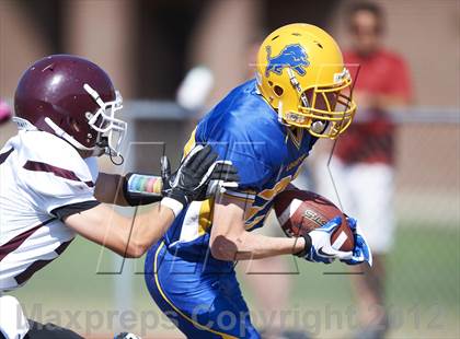 Thumbnail 1 in Orchard Park @ Lockport photogallery.