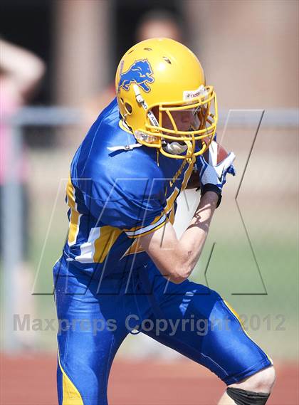 Thumbnail 3 in Orchard Park @ Lockport photogallery.