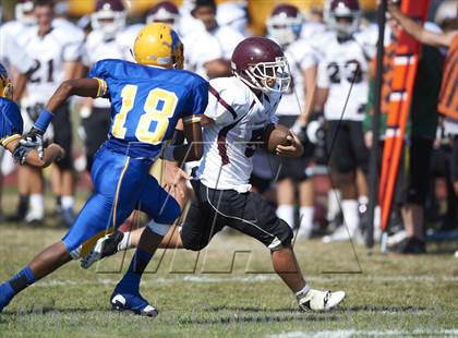 Thumbnail 1 in Orchard Park @ Lockport photogallery.