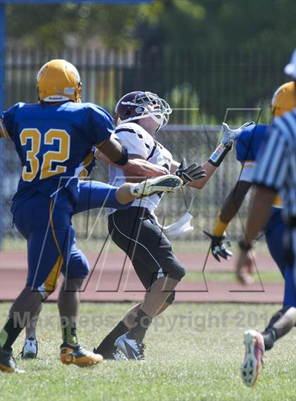Thumbnail 1 in Orchard Park @ Lockport photogallery.