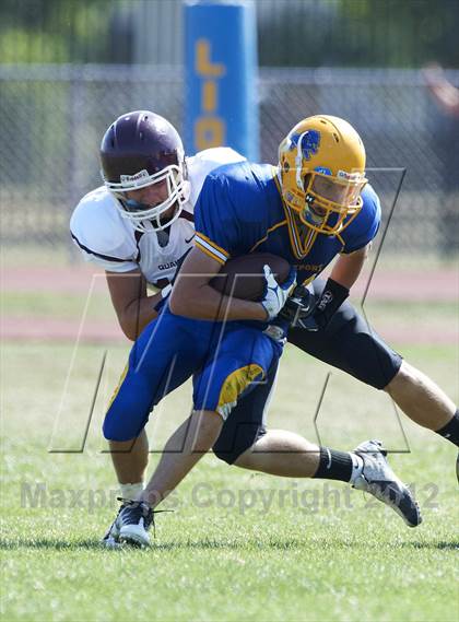 Thumbnail 1 in Orchard Park @ Lockport photogallery.