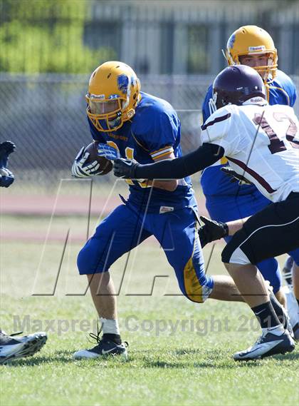 Thumbnail 3 in Orchard Park @ Lockport photogallery.