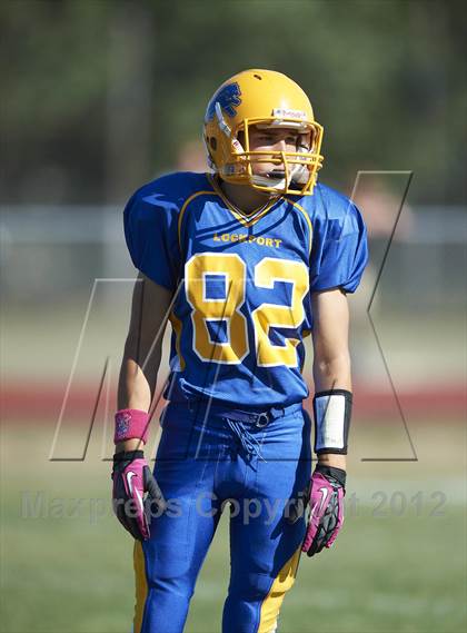 Thumbnail 3 in Orchard Park @ Lockport photogallery.