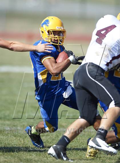 Thumbnail 1 in Orchard Park @ Lockport photogallery.