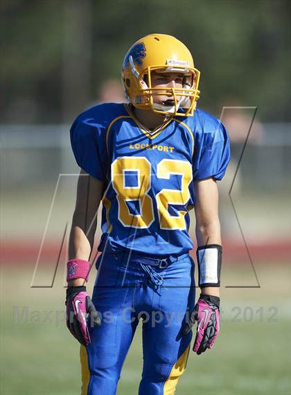 Thumbnail 2 in Orchard Park @ Lockport photogallery.