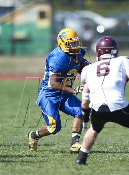Thumbnail 1 in Orchard Park @ Lockport photogallery.